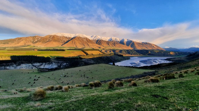 farm tour, sheep farm tour, canterbury sheep farm tour, christchurch farm tour, christchurch sheep farm tour, new zealand farm tour, nz farm tour, benlea farm tour, new zealand, nz tourism